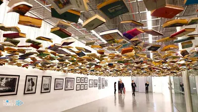 Modern Art and Culture Tour (Museums and Galleries)
