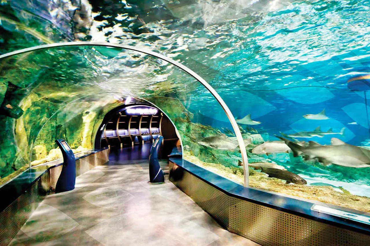 Aqua Florya – Aquarium