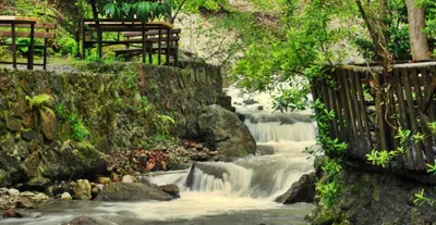 Nature and Relaxation Tour (Sapanca, Maşukiye)