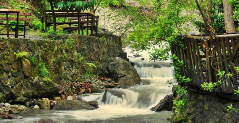 Excursion "Nature et détente" (Sapanca, Maşukiye)
