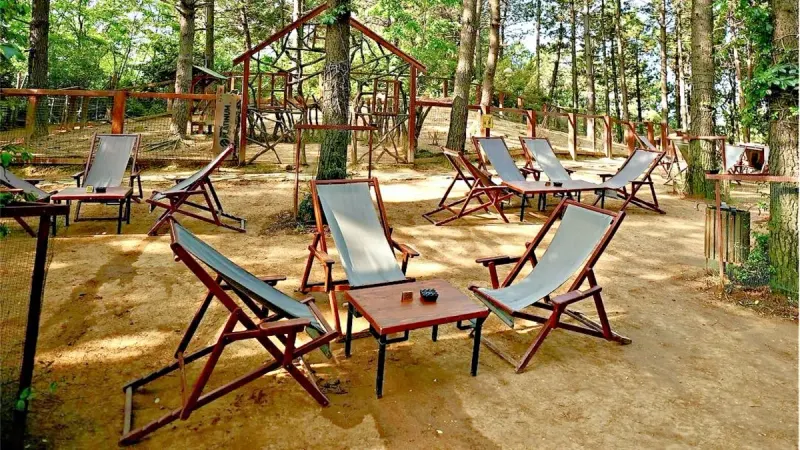 Aileler için Doğa Turu "Yazlık Eğlence" (Platinum Park ve Hayvan Bahçesi)