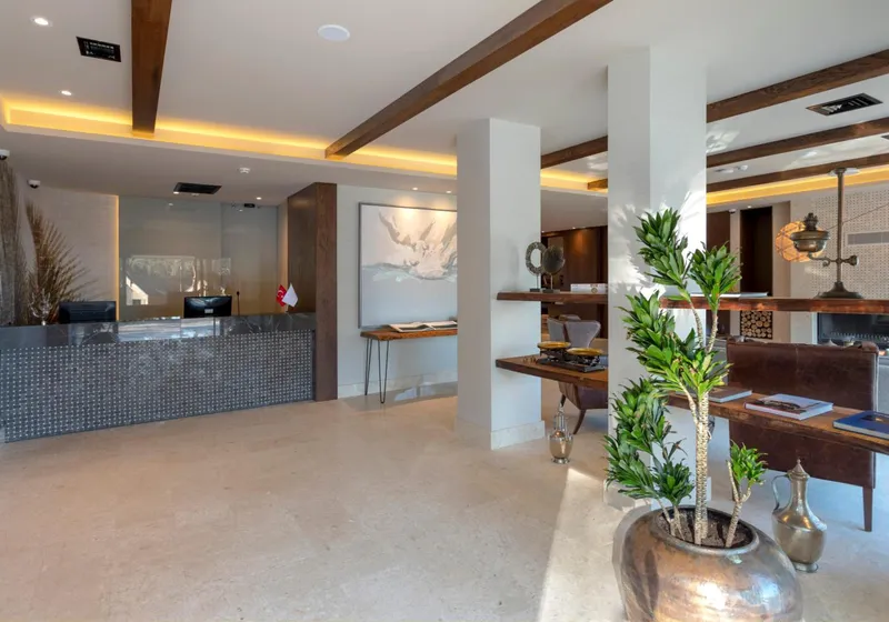Hancioglu Orman Evleri & Hotel 3