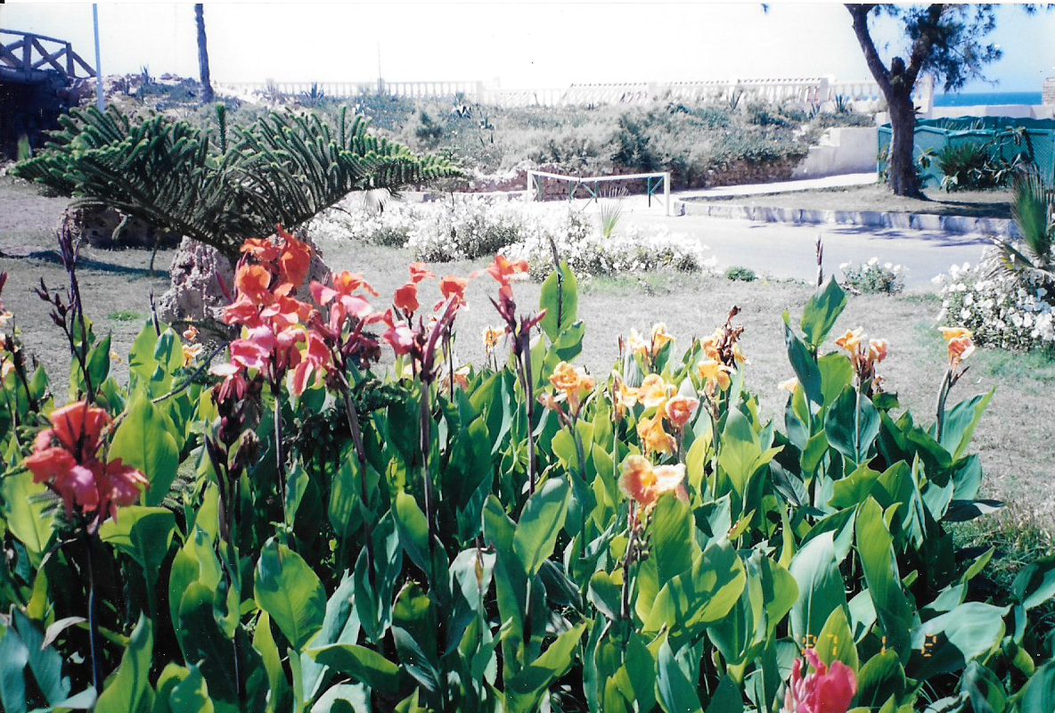 حدائق قصر المنتزه — الإسكندرية