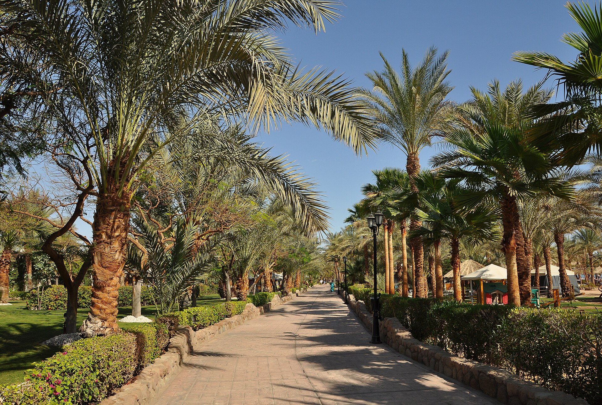 Naama Bay — Sharm El-Sheikh