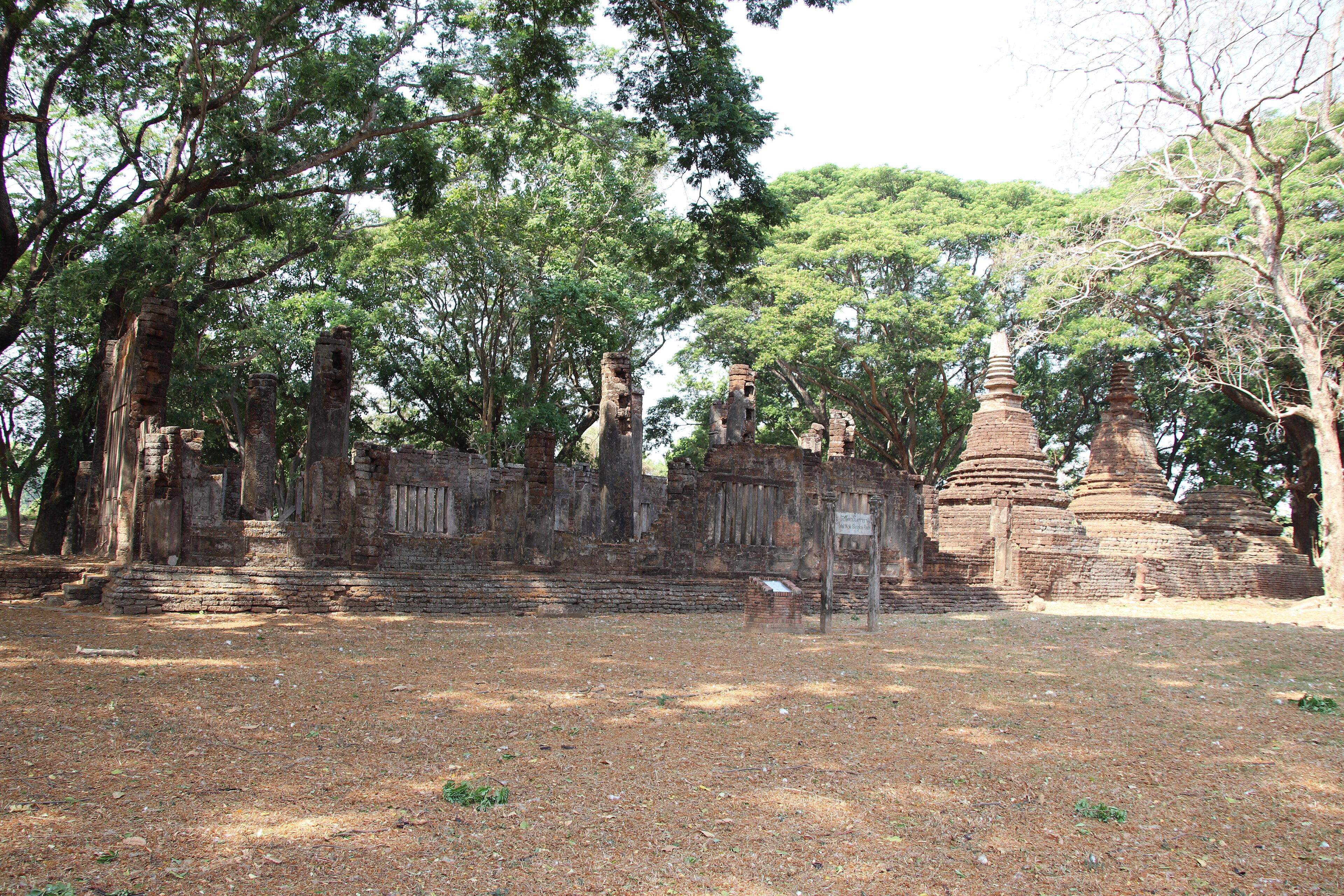 Singha Park — Chiang Rai