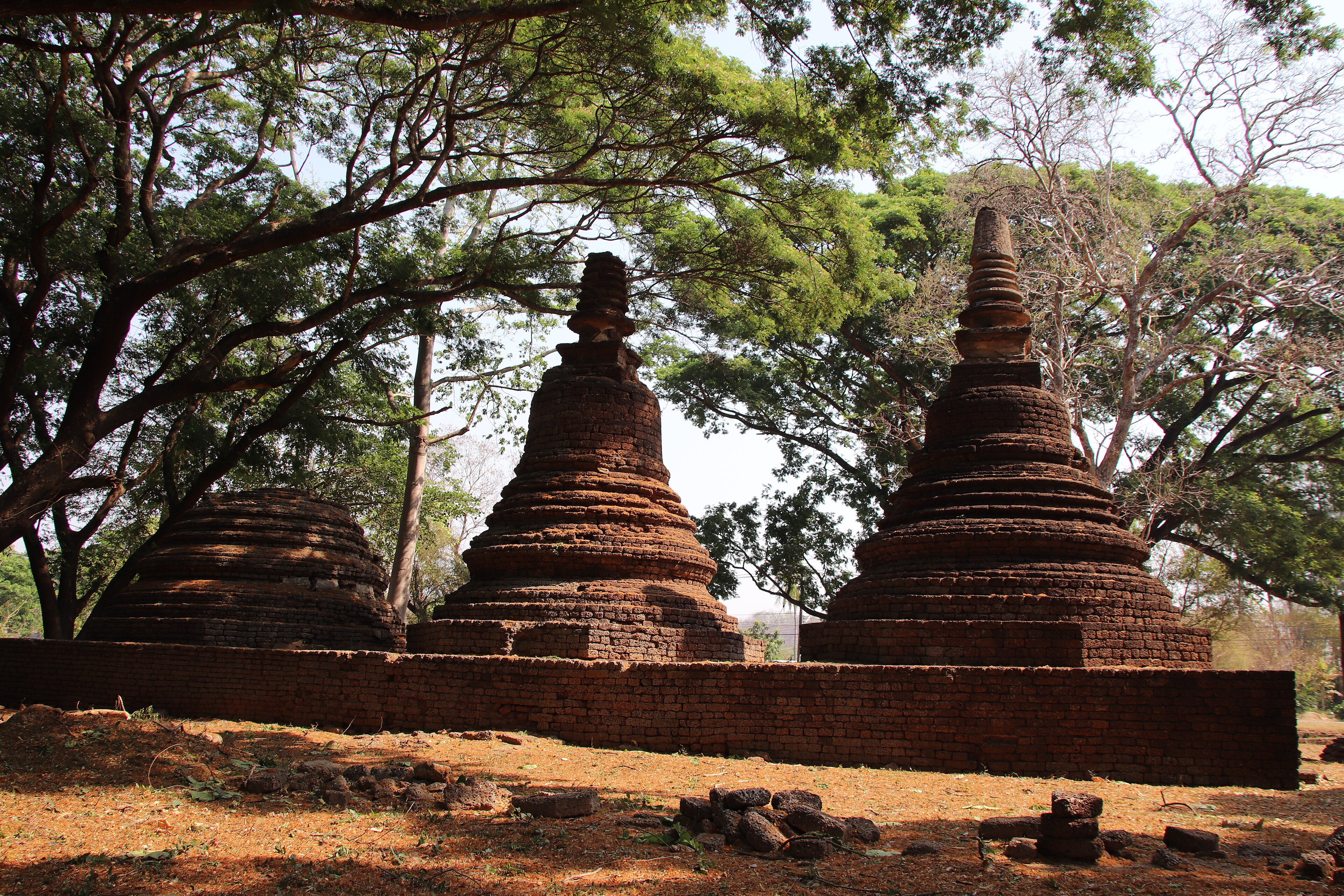 Singha Park — Chiang Rai