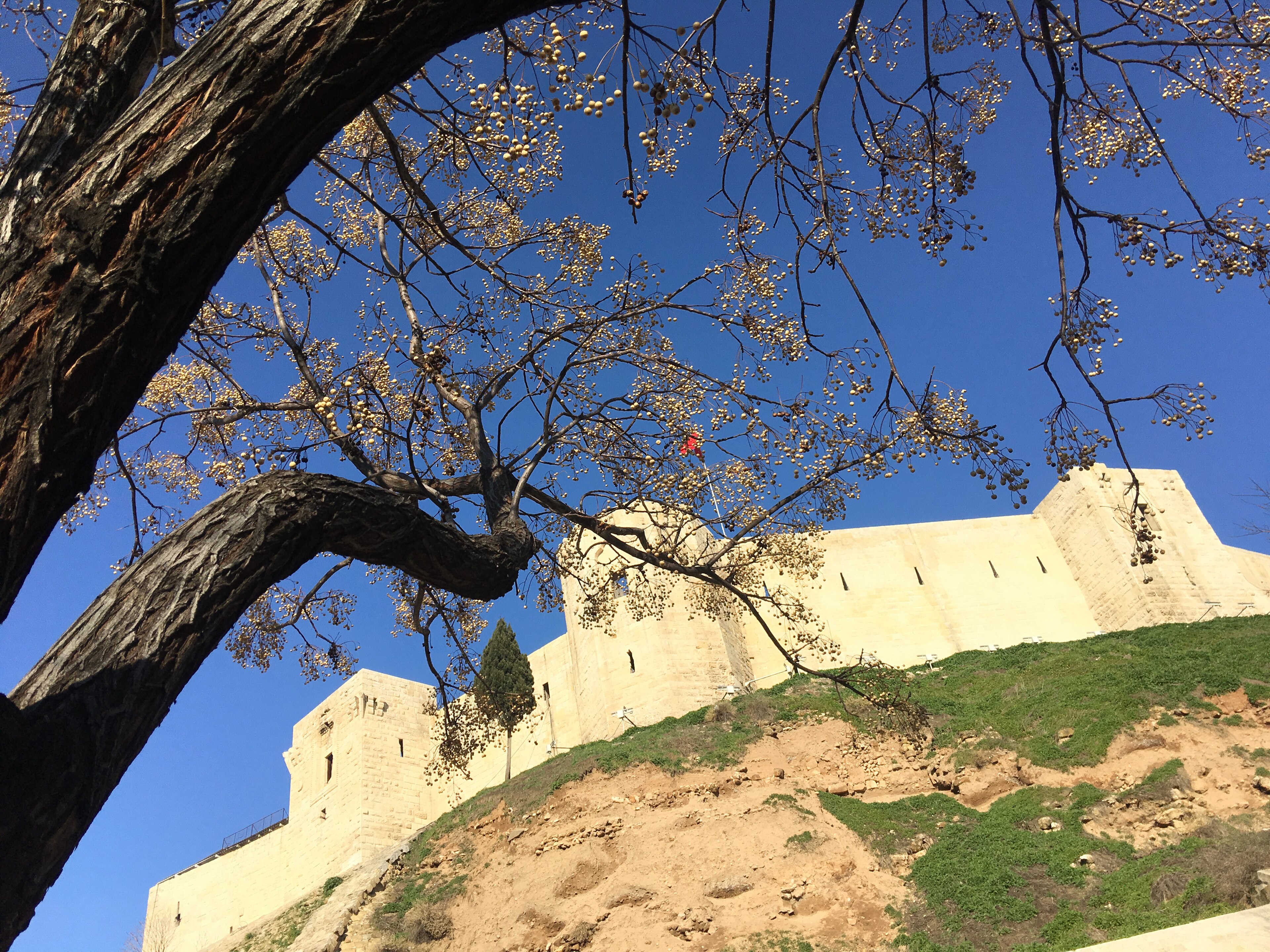 قلعة غازي عنتاب