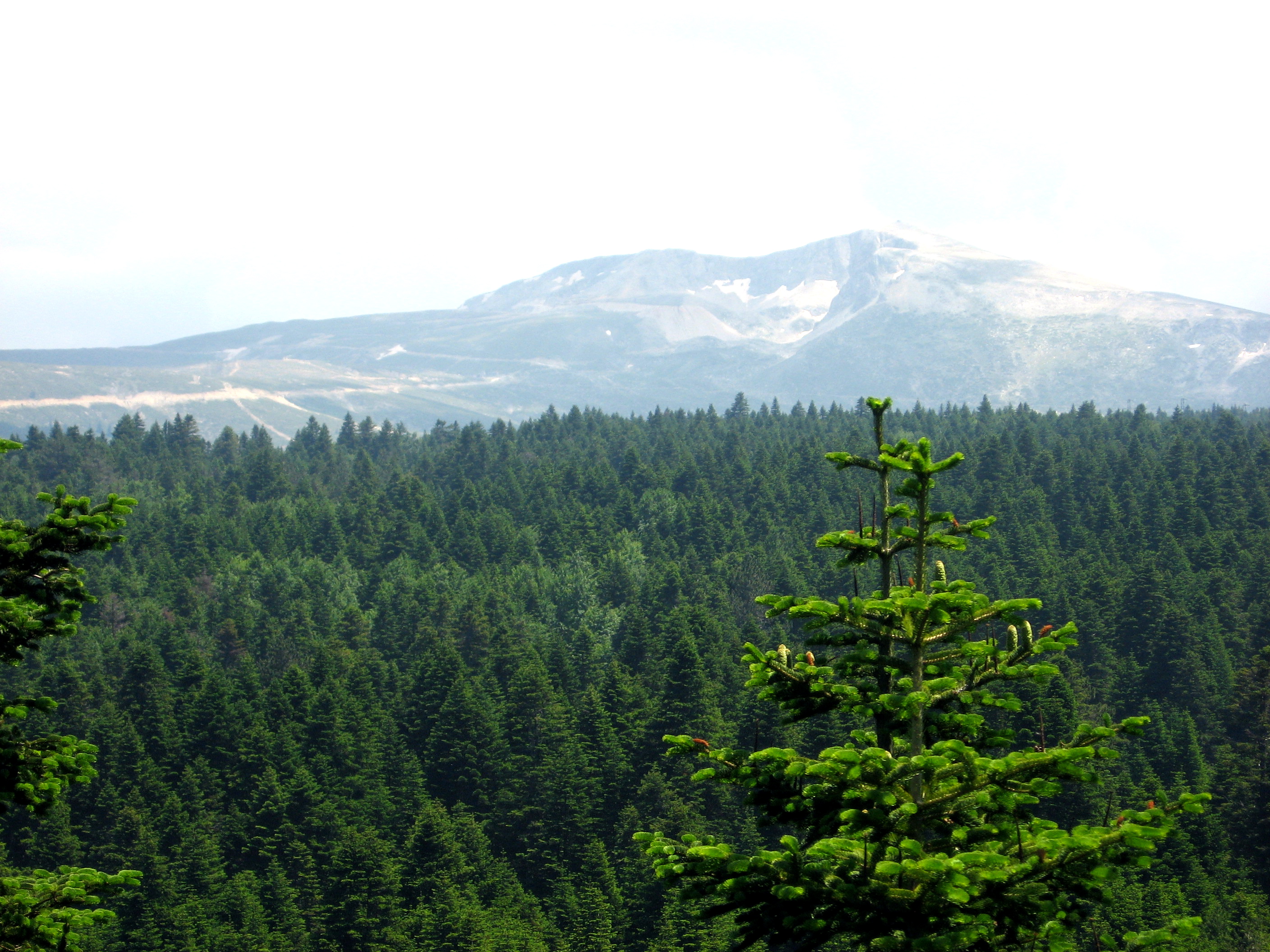 Uludag — Bursa