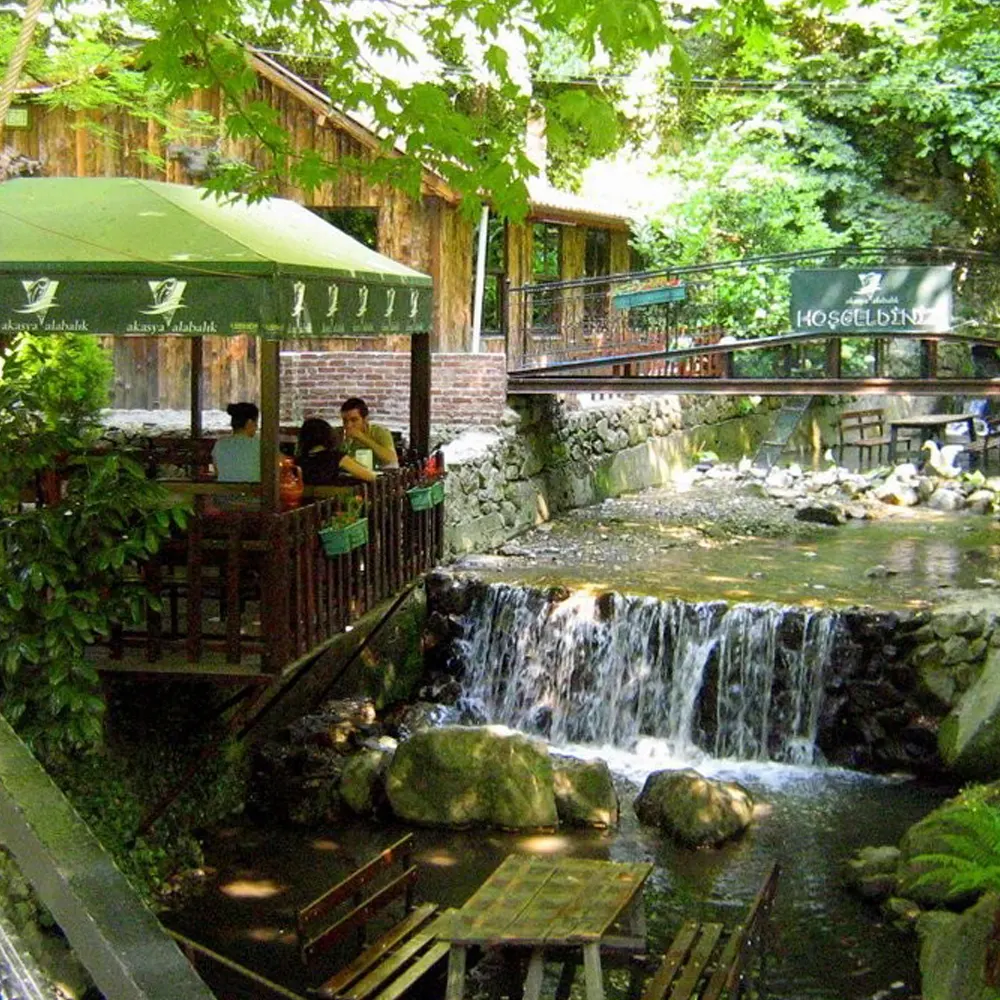Sapanca and Masukiye trip from Istanbul